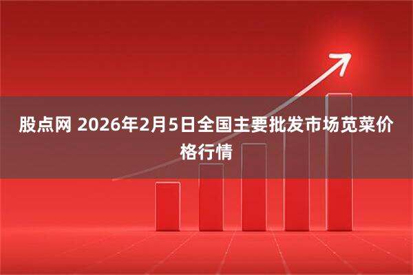 股点网 2026年2月5日全国主要批发市场苋菜价格行情