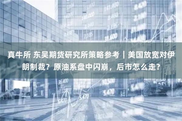 真牛所 东吴期货研究所策略参考｜美国放宽对伊朗制裁？原油系盘中闪崩，后市怎么走？