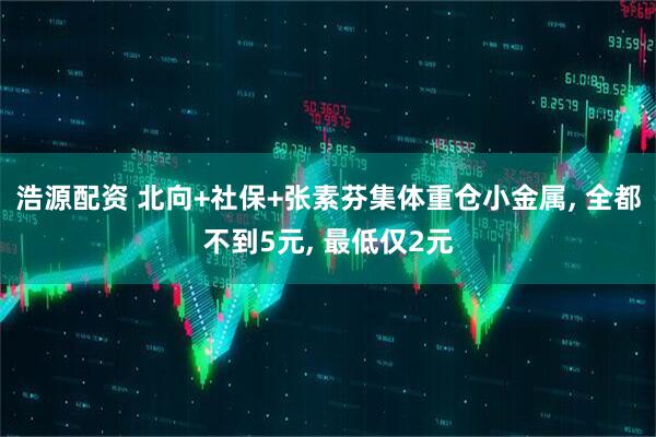 浩源配资 北向+社保+张素芬集体重仓小金属, 全都不到5元, 最低仅2元