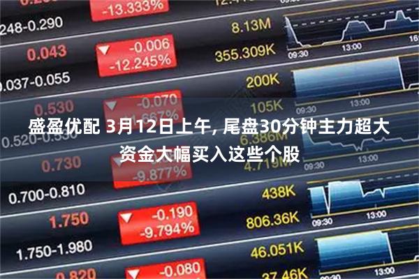 盛盈优配 3月12日上午, 尾盘30分钟主力超大资金大幅买入这些个股