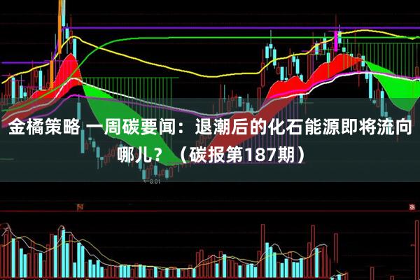 金橘策略 一周碳要闻：退潮后的化石能源即将流向哪儿？（碳报第187期）