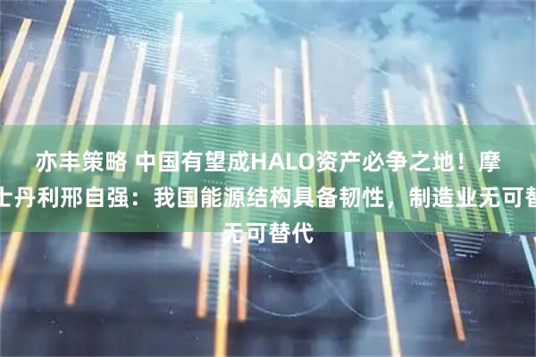 亦丰策略 中国有望成HALO资产必争之地！摩根士丹利邢自强：我国能源结构具备韧性，制造业无可替代