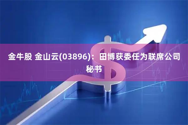 金牛股 金山云(03896)：田博获委任为联席公司秘书
