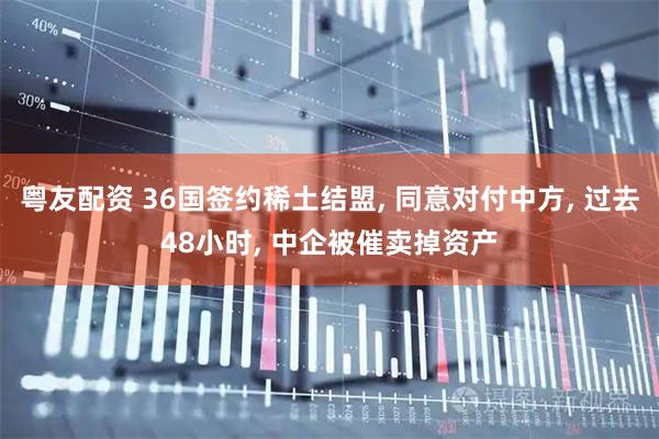 粤友配资 36国签约稀土结盟, 同意对付中方, 过去48小时, 中企被催卖掉资产