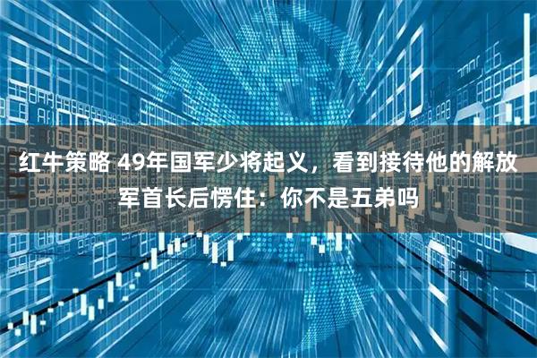 红牛策略 49年国军少将起义，看到接待他的解放军首长后愣住：你不是五弟吗