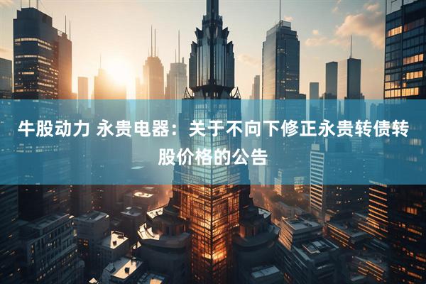 牛股动力 永贵电器：关于不向下修正永贵转债转股价格的公告