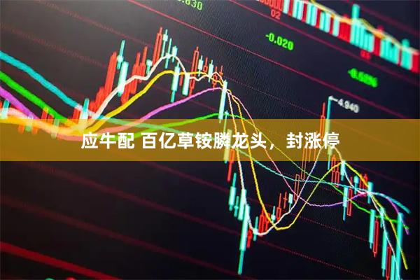 应牛配 百亿草铵膦龙头,封涨停