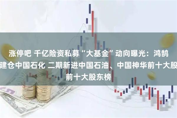 涨停吧 千亿险资私募“大基金”动向曝光：鸿鹄三期建仓中国石化 二期新进中国石油、中国神华前十大股东榜
