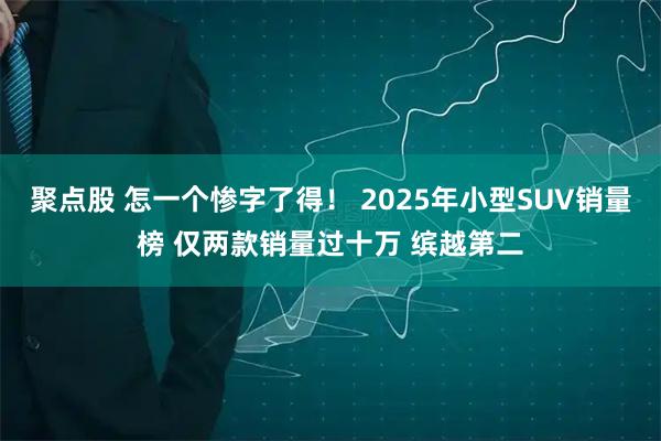 聚点股 怎一个惨字了得！ 2025年小型SUV销量榜 仅两款销量过十万 缤越第二