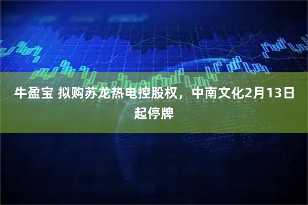牛盈宝 拟购苏龙热电控股权，中南文化2月13日起停牌