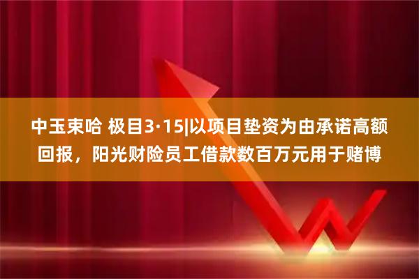 中玉束哈 极目3·15|以项目垫资为由承诺高额回报，阳光财险员工借款数百万元用于赌博