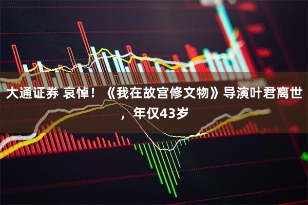 大通证券 哀悼！《我在故宫修文物》导演叶君离世，年仅43岁