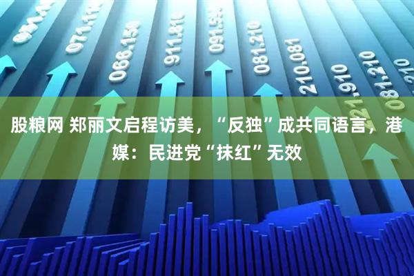 股粮网 郑丽文启程访美，“反独”成共同语言，港媒：民进党“抹红”无效