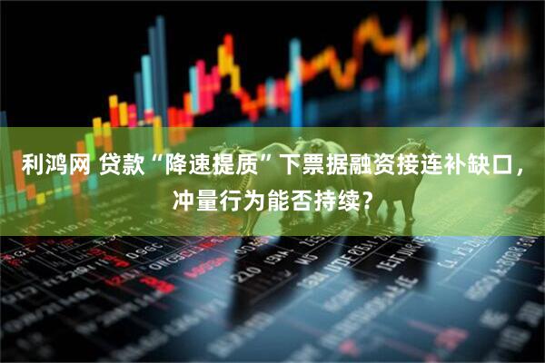 利鸿网 贷款“降速提质”下票据融资接连补缺口，冲量行为能否持续？